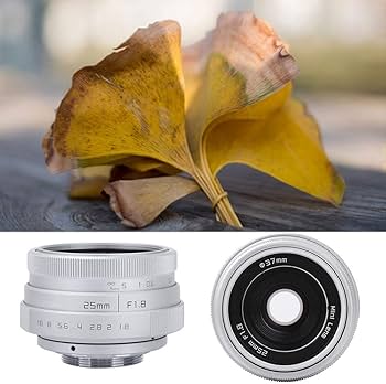 Amazon.com : 25mm F1.8 APS-C Large Aperture Wide Angle Lens Manual